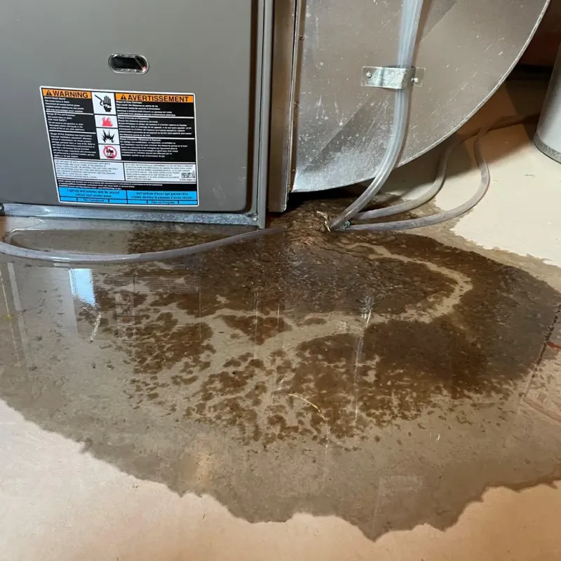 Appliance Leak Cleanup in Waterbury, VT